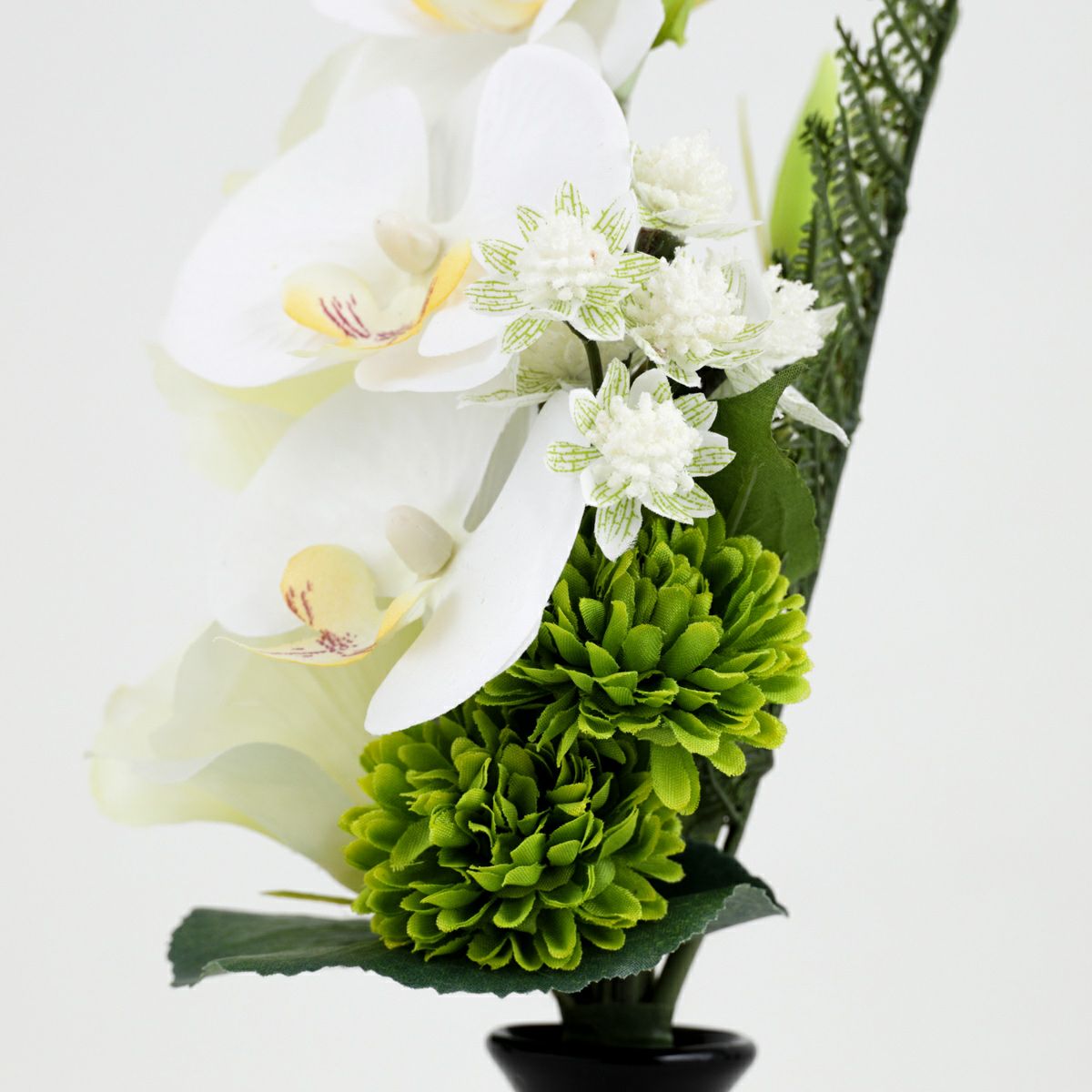 胡蝶蘭 アレンジメント 対 [WEB505]