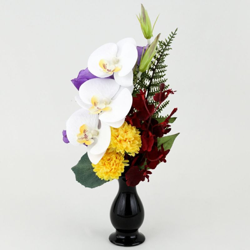 胡蝶蘭 アレンジメント 対 [WEB506]