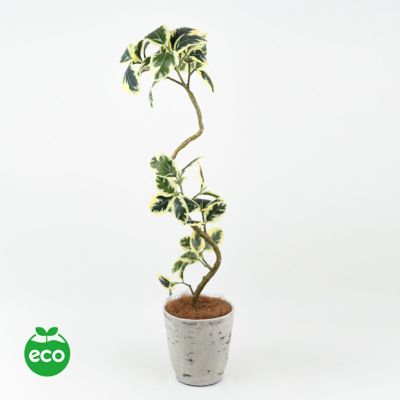 【アウトレット限定3台】【40%OFF】ツイストアルテシマ フェイクグリーン [102] BA 高さ132cm 観葉植物
