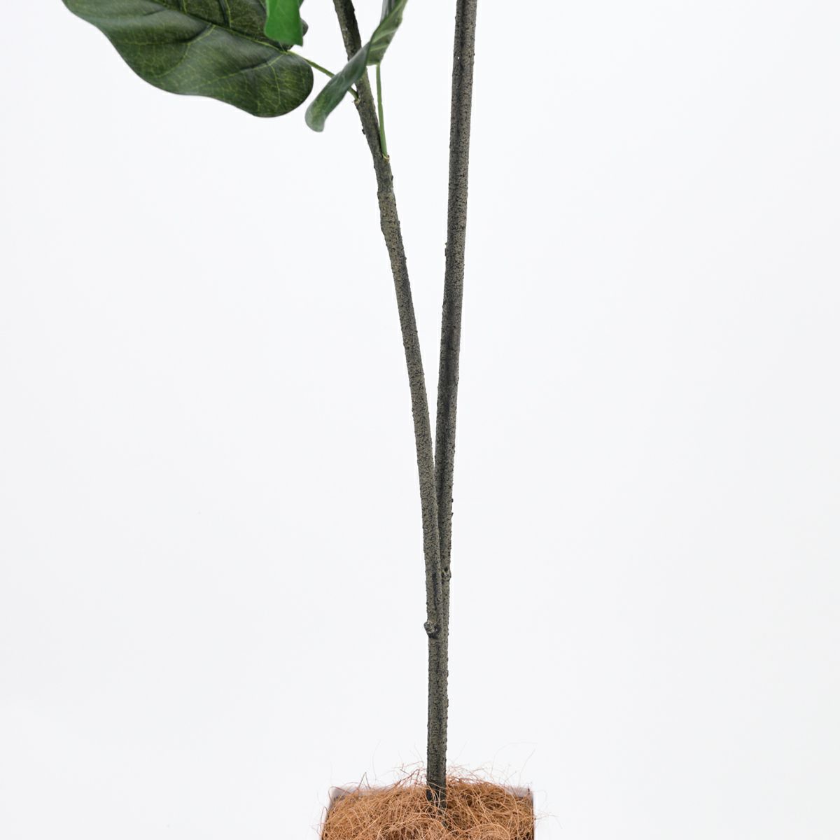 《オンライン限定》 ウンベラータ フェイクグリーン [WEB518] 