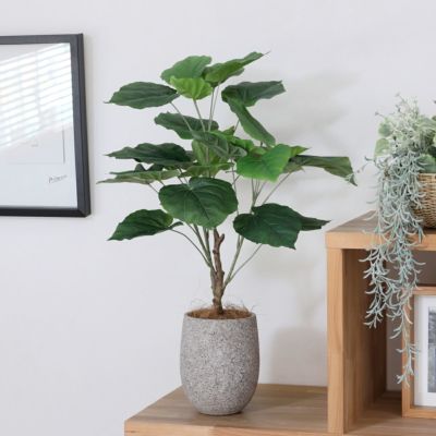 《オンライン限定》ウンベラータ フェイクグリーン [WEB519] 高さ75cm 観葉植物 開店祝い