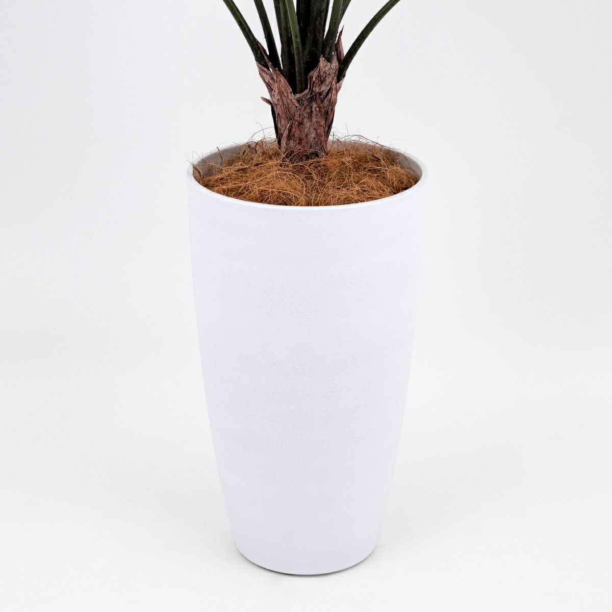 《オンライン限定》 アロカシア フェイクグリーン [WEB520]