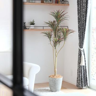《オンライン限定》 ユッカ フェイクグリーン [WEB524] 観葉植物 開店祝い 大型商品