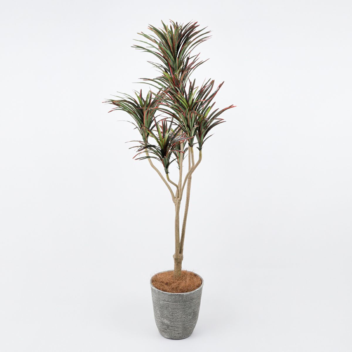 《オンライン限定》 ユッカ フェイクグリーン [WEB524] 