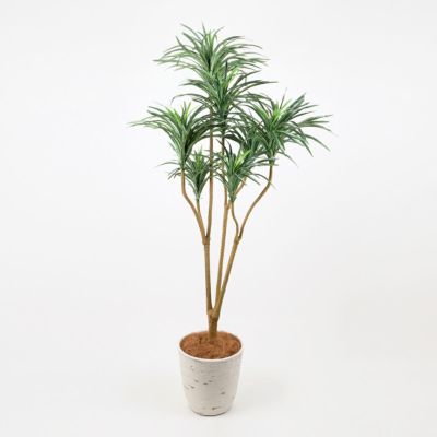【10%OFF】《オンライン限定》ユッカ フェイクグリーン [WEB525] 高さ160cm 観葉植物 開店祝い 大型商品