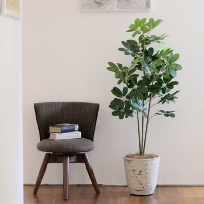 【10%OFF】《オンライン限定》シェフレラ フェイクグリーン [WEB527] 高さ130cm 観葉植物 開店祝い
