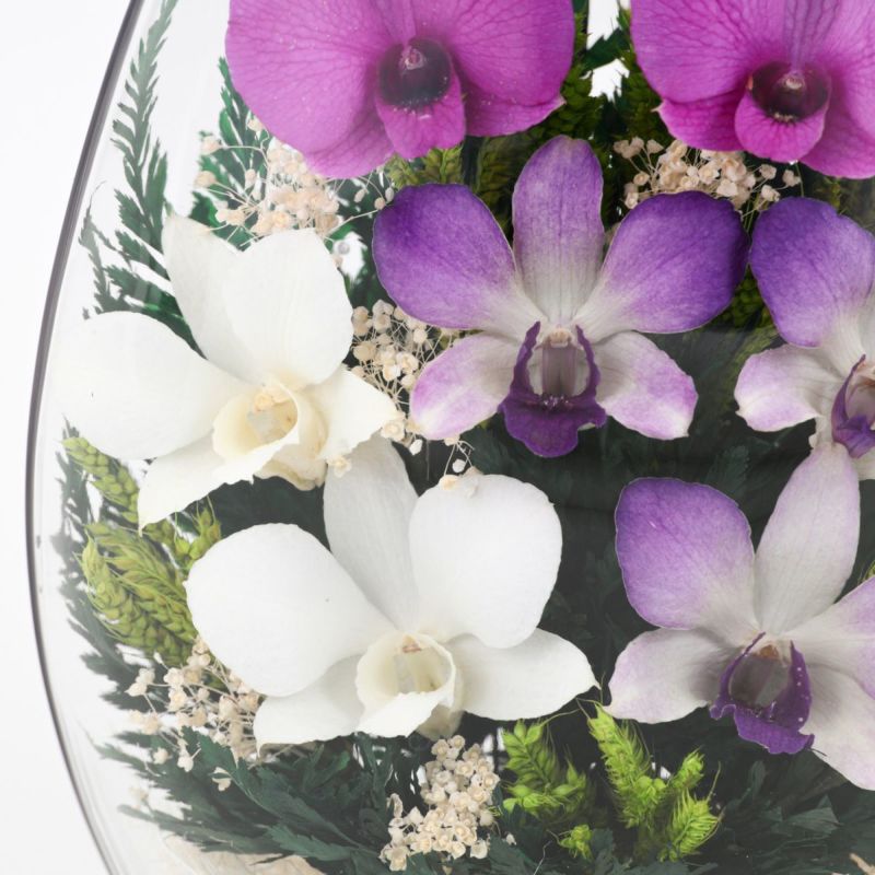 ミエル[159] ボトルフラワー