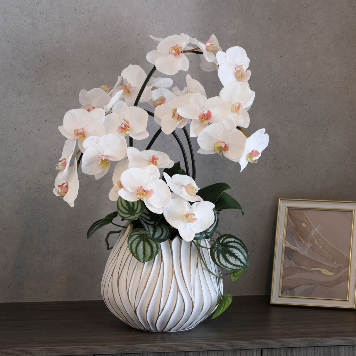 胡蝶蘭 アレンジメント [05A] BA