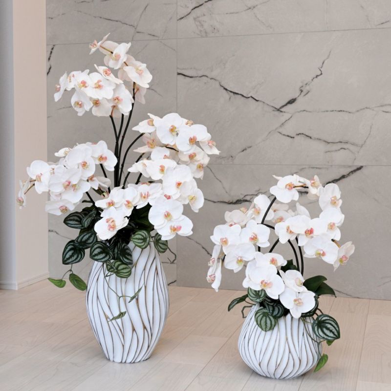 胡蝶蘭 アレンジメント [05A] BA