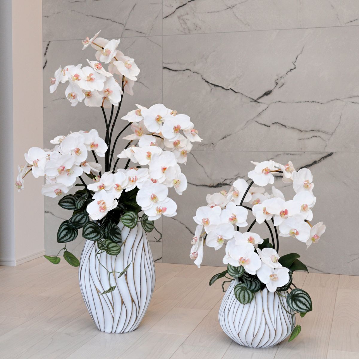 胡蝶蘭 アレンジメント [05A] BA