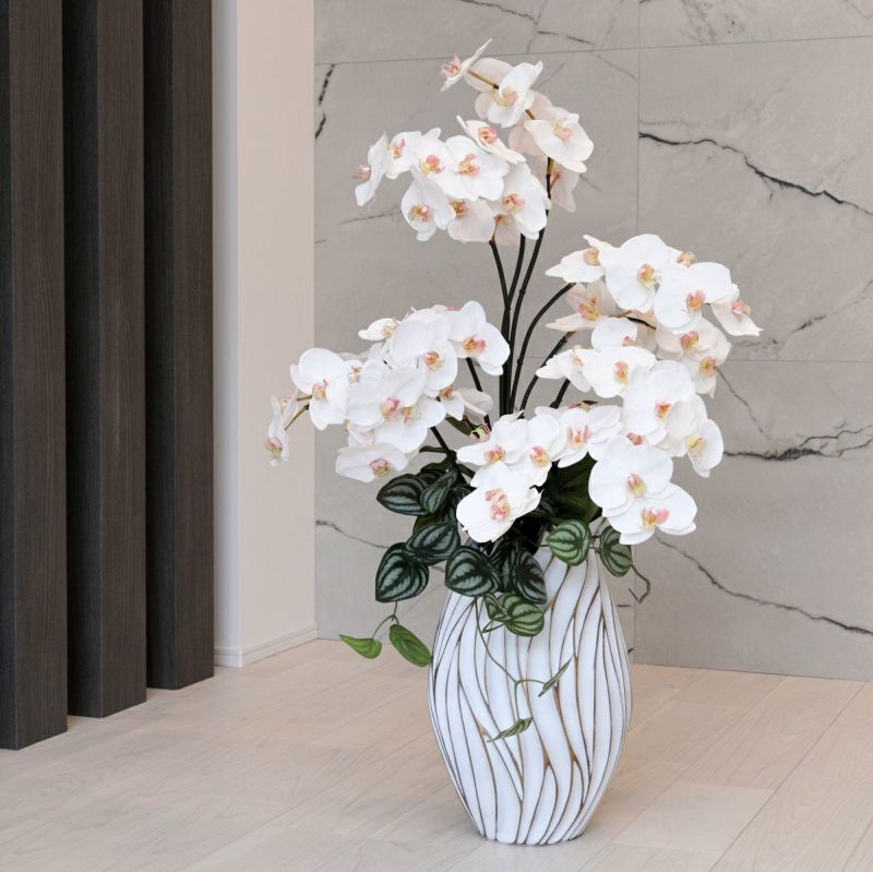 胡蝶蘭 アレンジメント [06A] BA