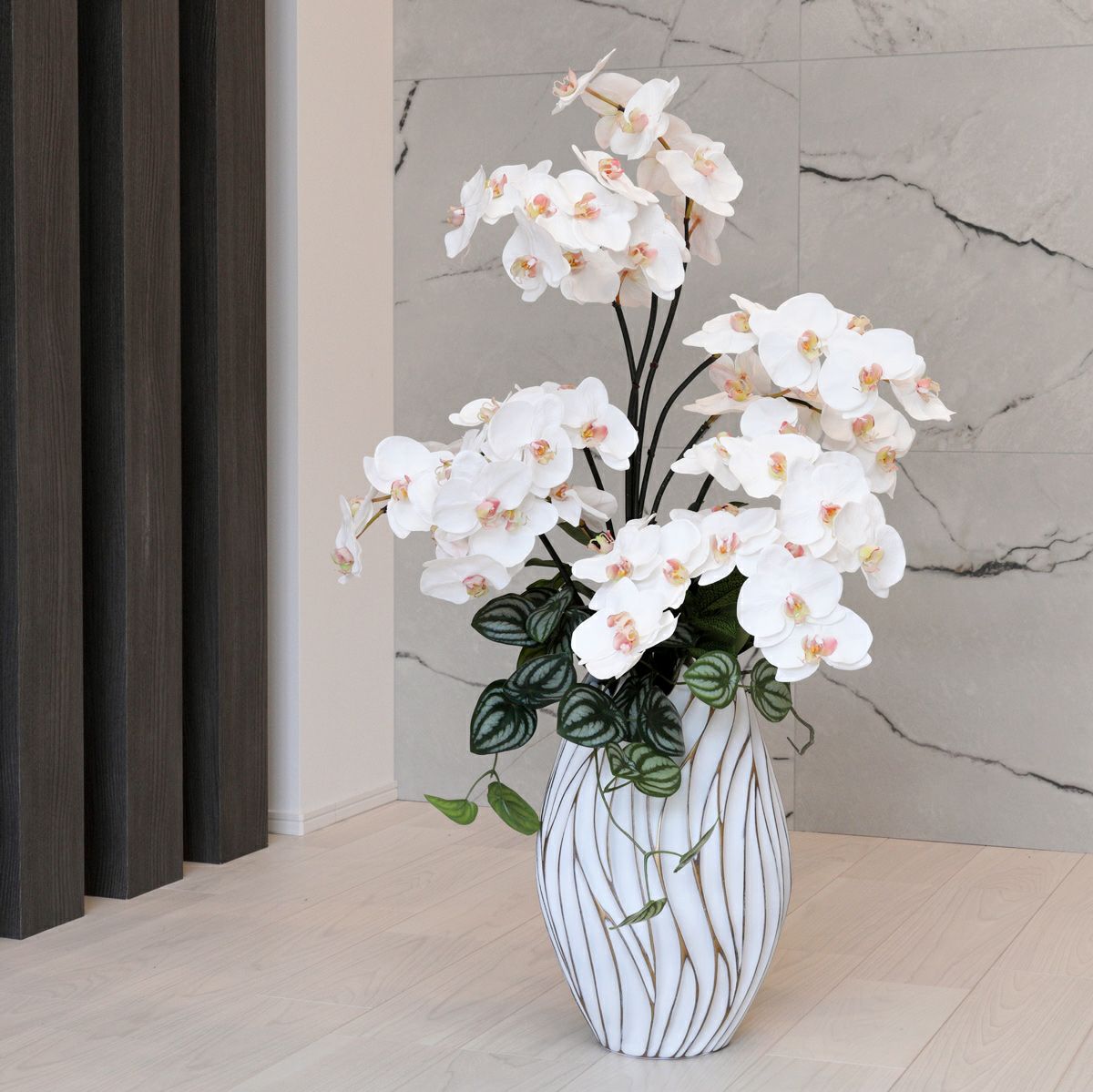 胡蝶蘭 アレンジメント [06A] BA