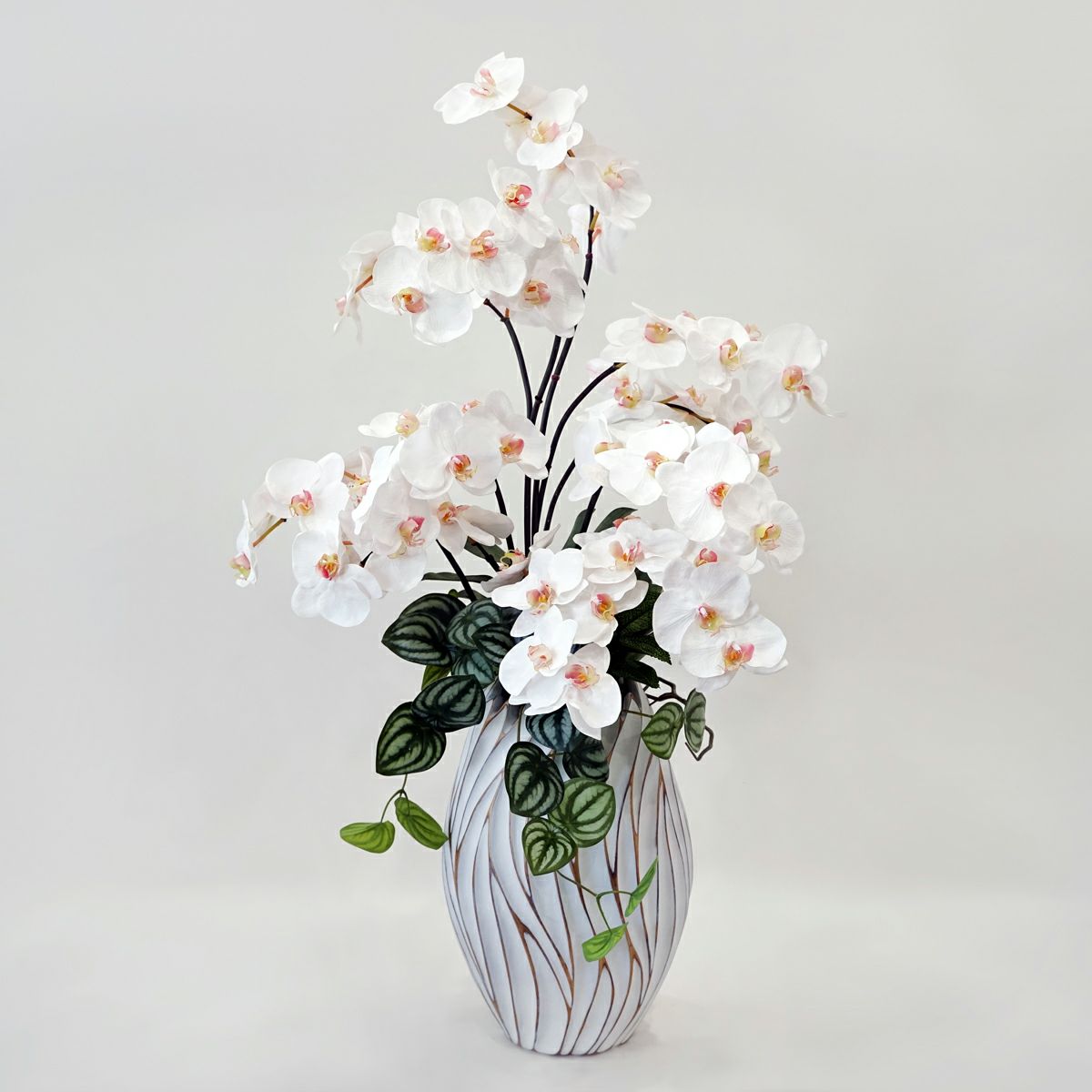 胡蝶蘭 アレンジメント [06A] BA