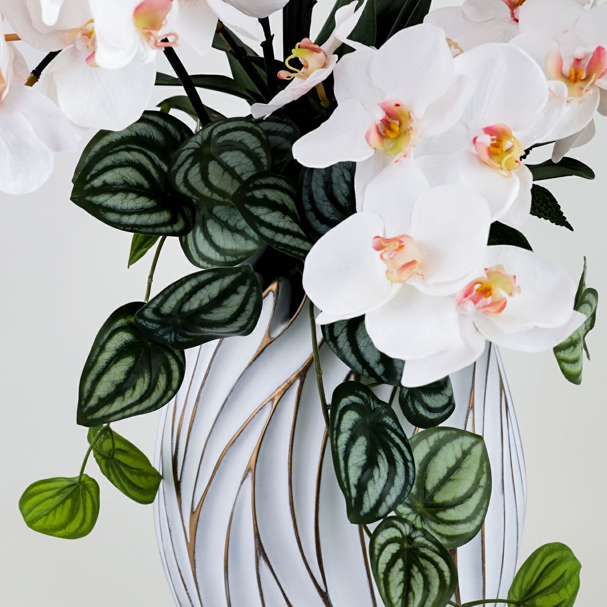 胡蝶蘭 アレンジメント [06A] BA