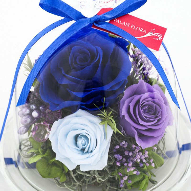 プリザーブドフラワー [335][336][337]