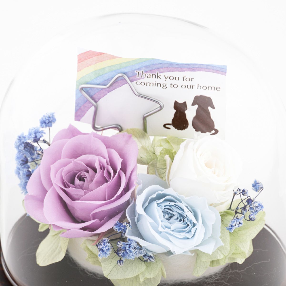 ペット用 プリザーブドフラワー [361]