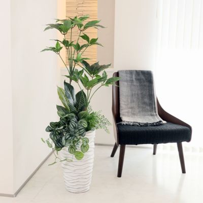 フェイクグリーン（人工観葉植物） | パレフローラ公式通販