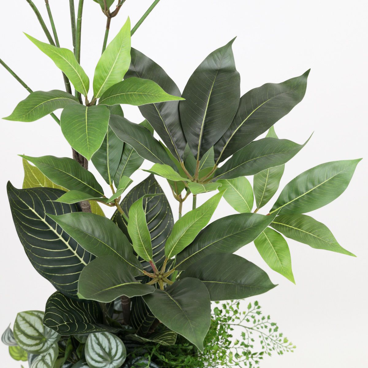寄せ植え ツピタンサス フェイクグリーン [P-20] BA