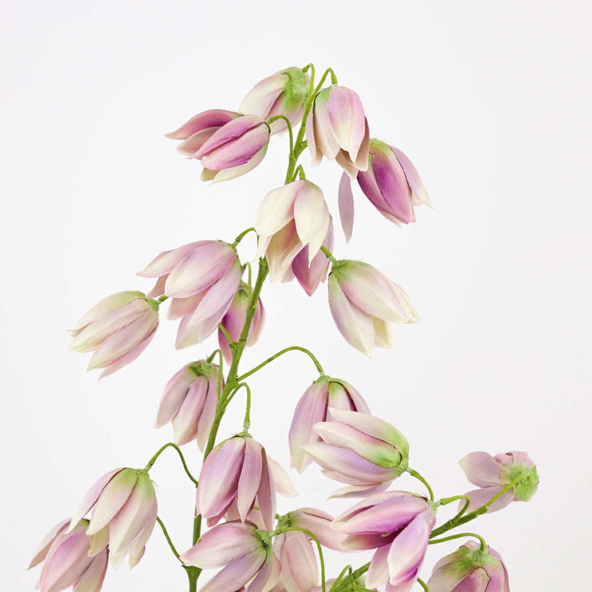 フェイクグリーン アレンジ [134]