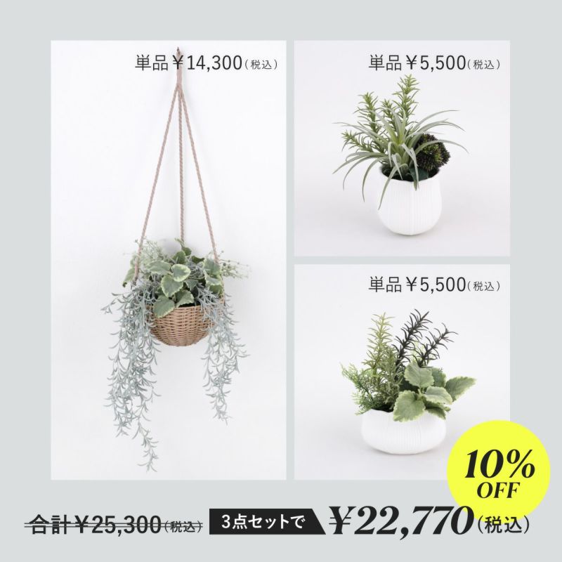 【セット割10%OFF】《オンライン限定》 フェイクク&#12441;リーン3点セット [WEB536/537/539]