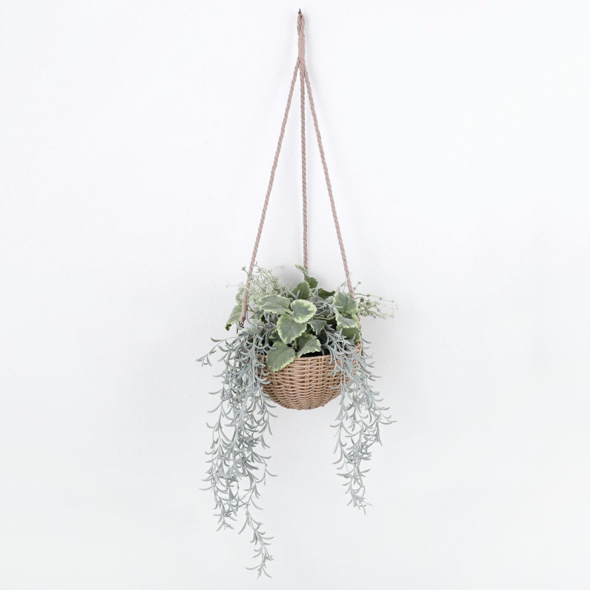 【セット割10%OFF】《オンライン限定》 フェイクグリーン3点セット [WEB536/537/539]