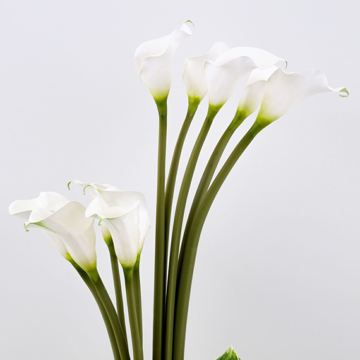 カラーリリー アレンジメント [48]