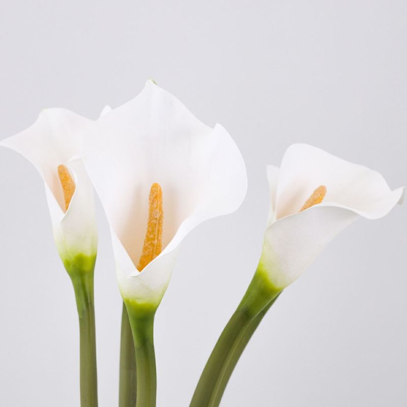 カラーリリー アレンジメント [48]