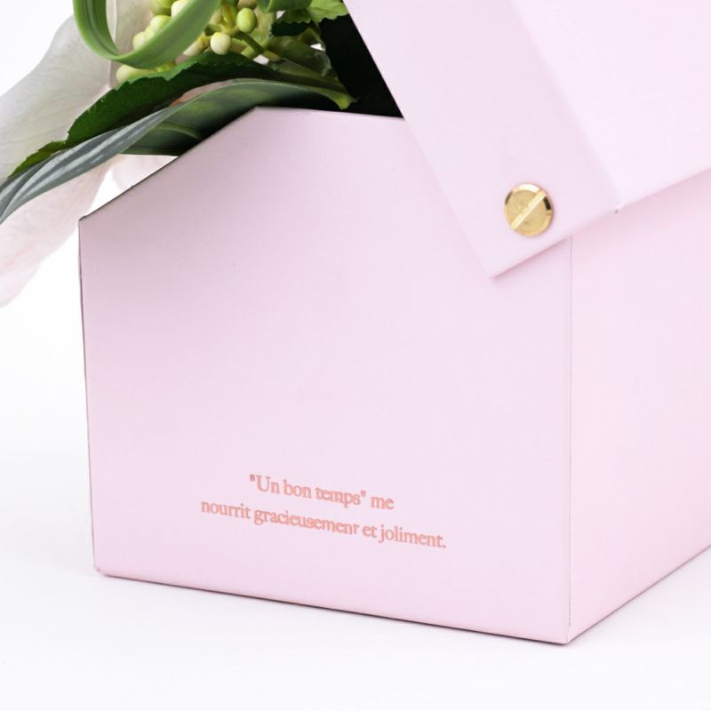 胡蝶蘭 ギフトBOX[01]