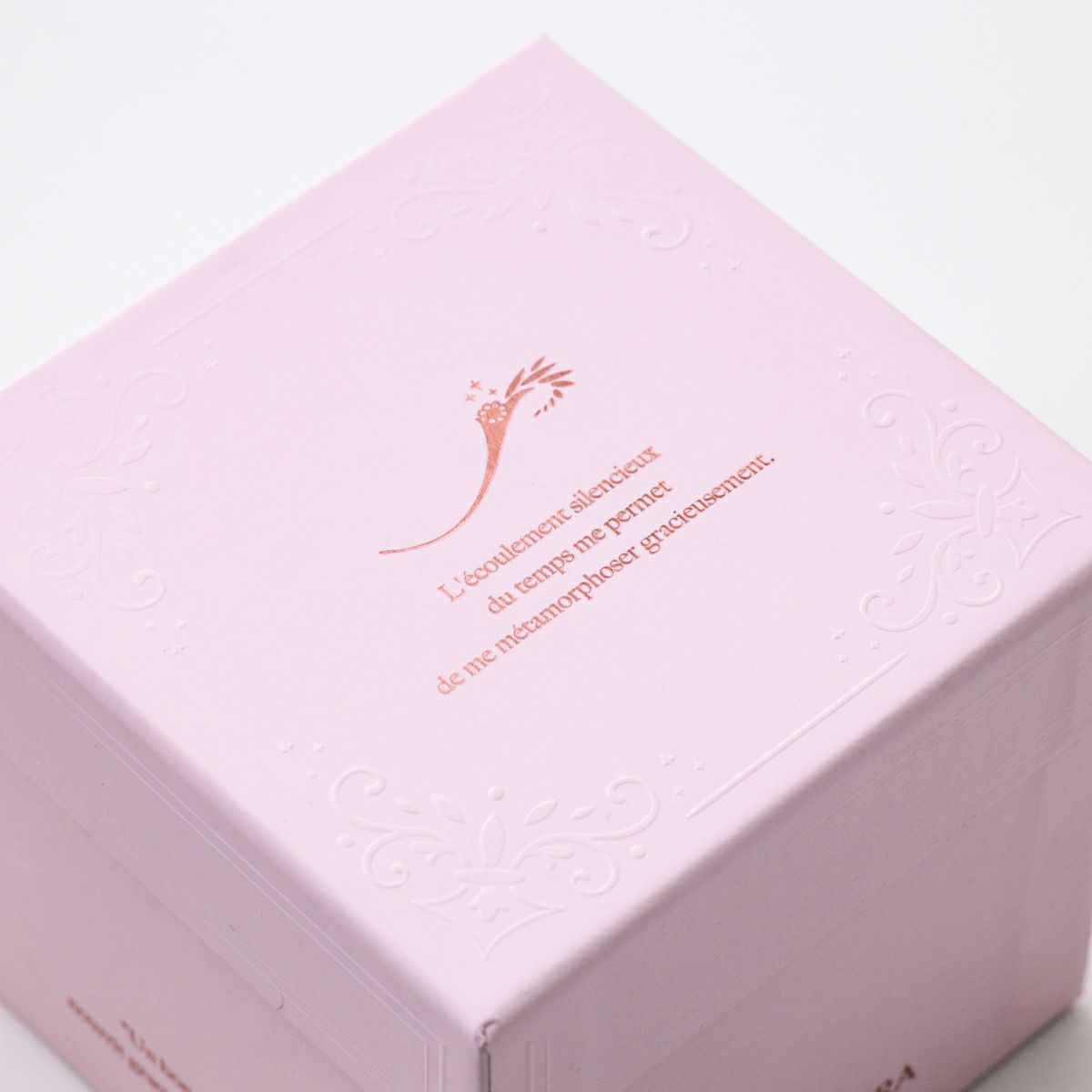 胡蝶蘭 ギフトBOX[01]