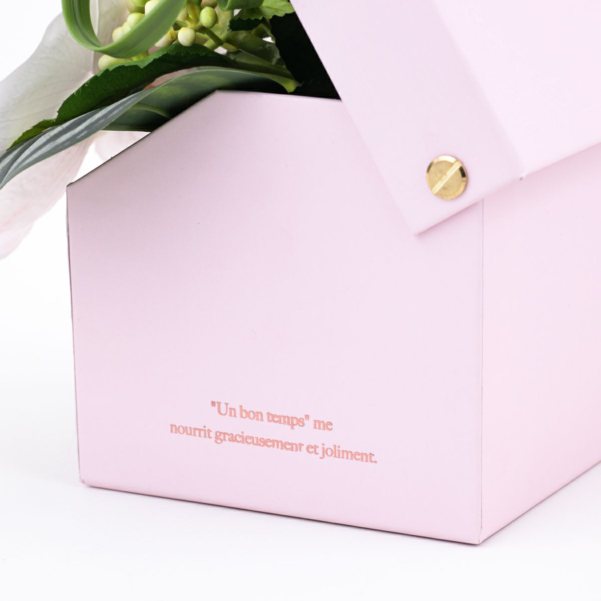 胡蝶蘭 ギフトBOX[02]