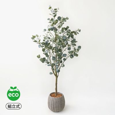 【10%OFF】丸葉ユーカリ フェイクグリーン [113] 高さ152cm 観葉植物 開店祝い エコ 大型商品