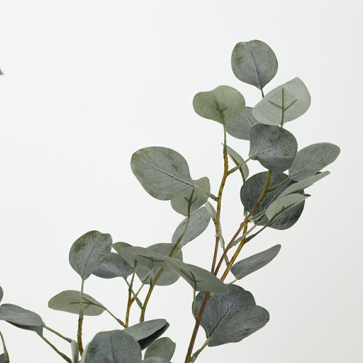 丸葉ユーカリ フェイクグリーン [113]