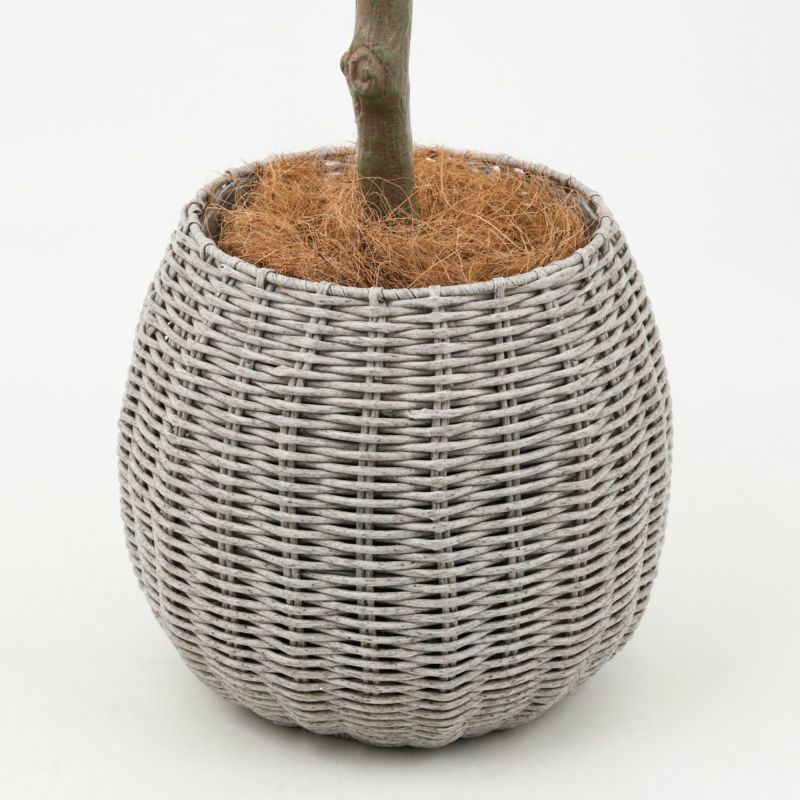 丸葉ユーカリ フェイクグリーン [113]