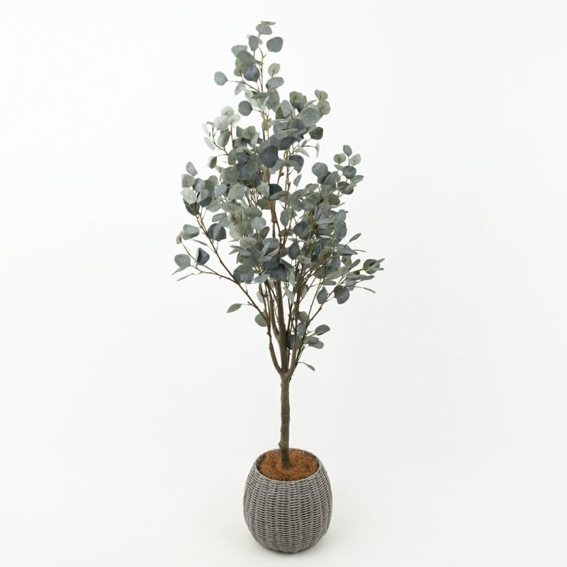 丸葉ユーカリ フェイクグリーン [113]