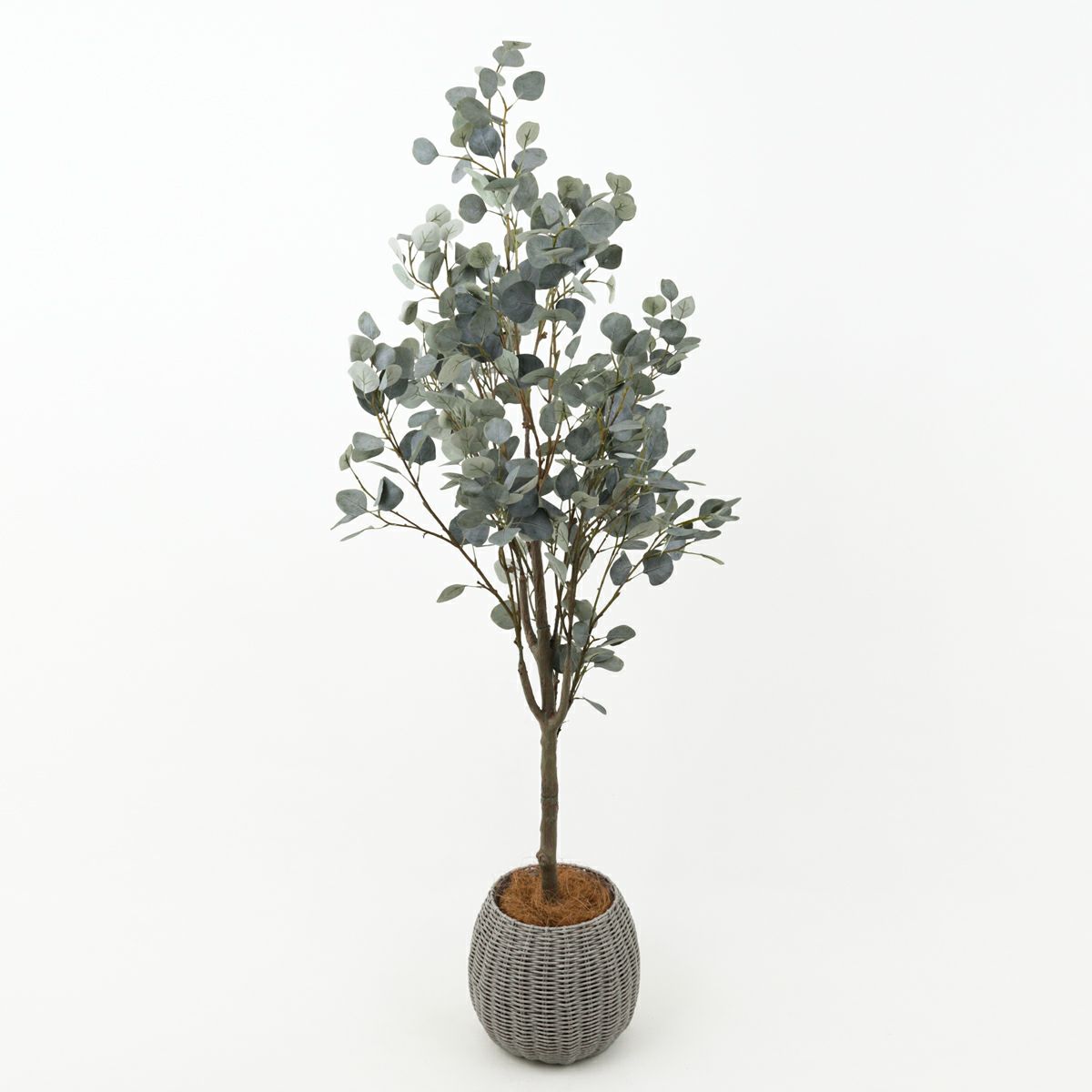 丸葉ユーカリ フェイクグリーン [113]