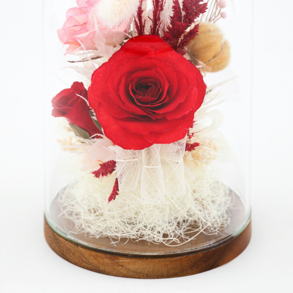 ローズ ミエル[146]