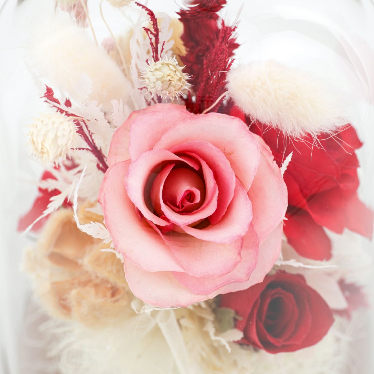 ローズ ミエル[146]