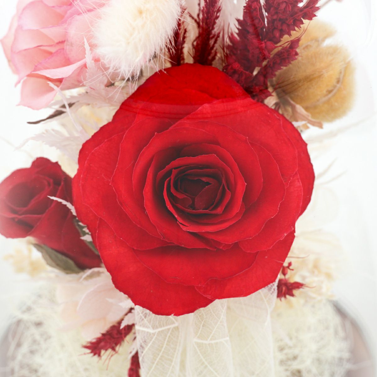 ローズ ミエル[146]