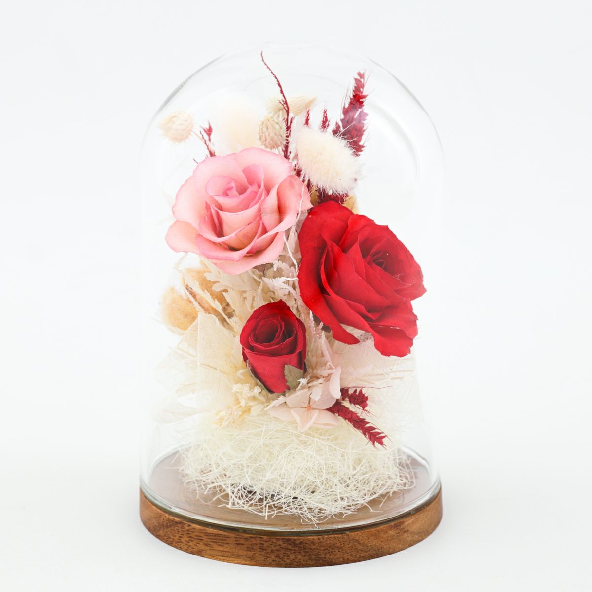 ローズ ミエル[146]