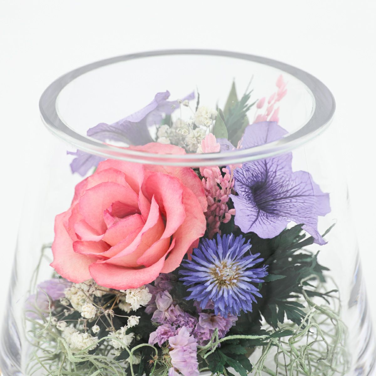 ローズ ミエル[148]