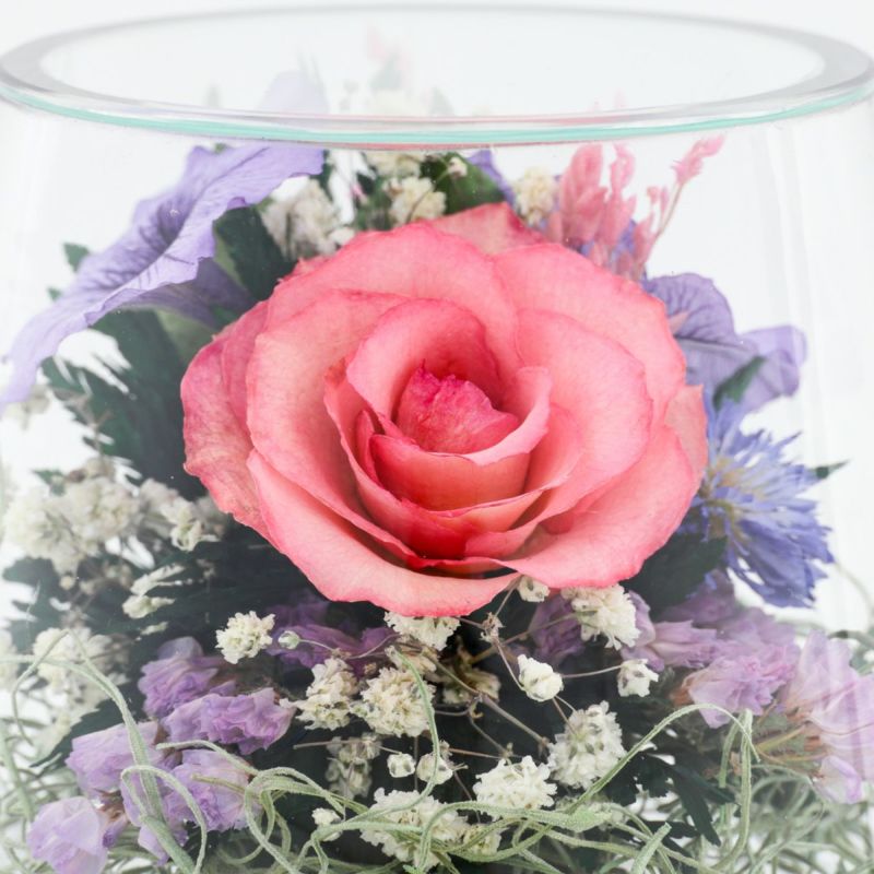 ローズ ミエル[148]