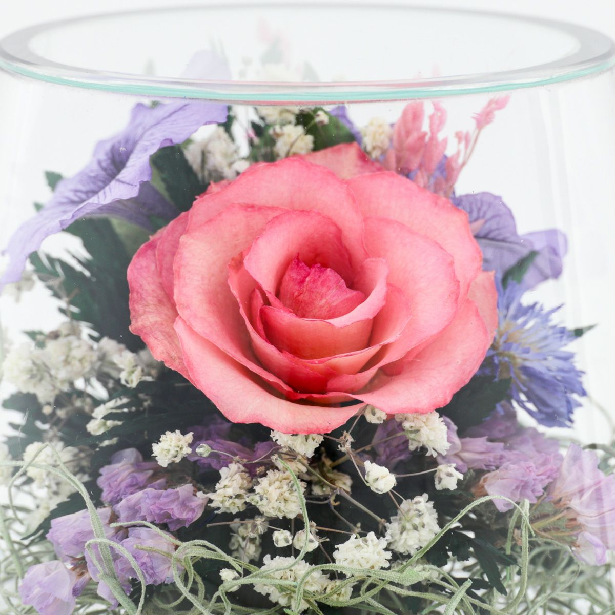 ローズ ミエル[148]