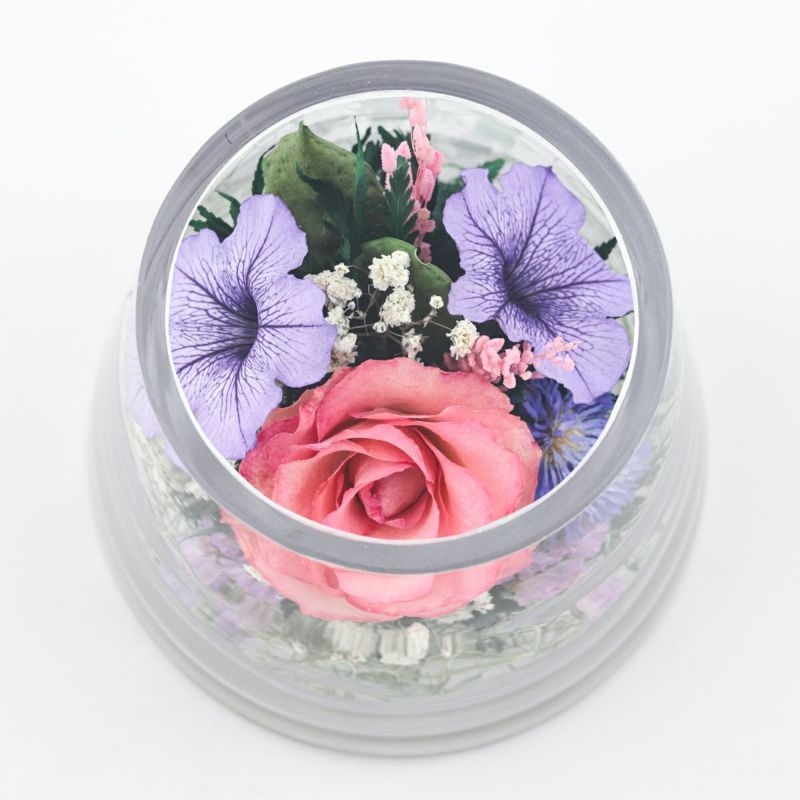 ローズ ミエル[148]