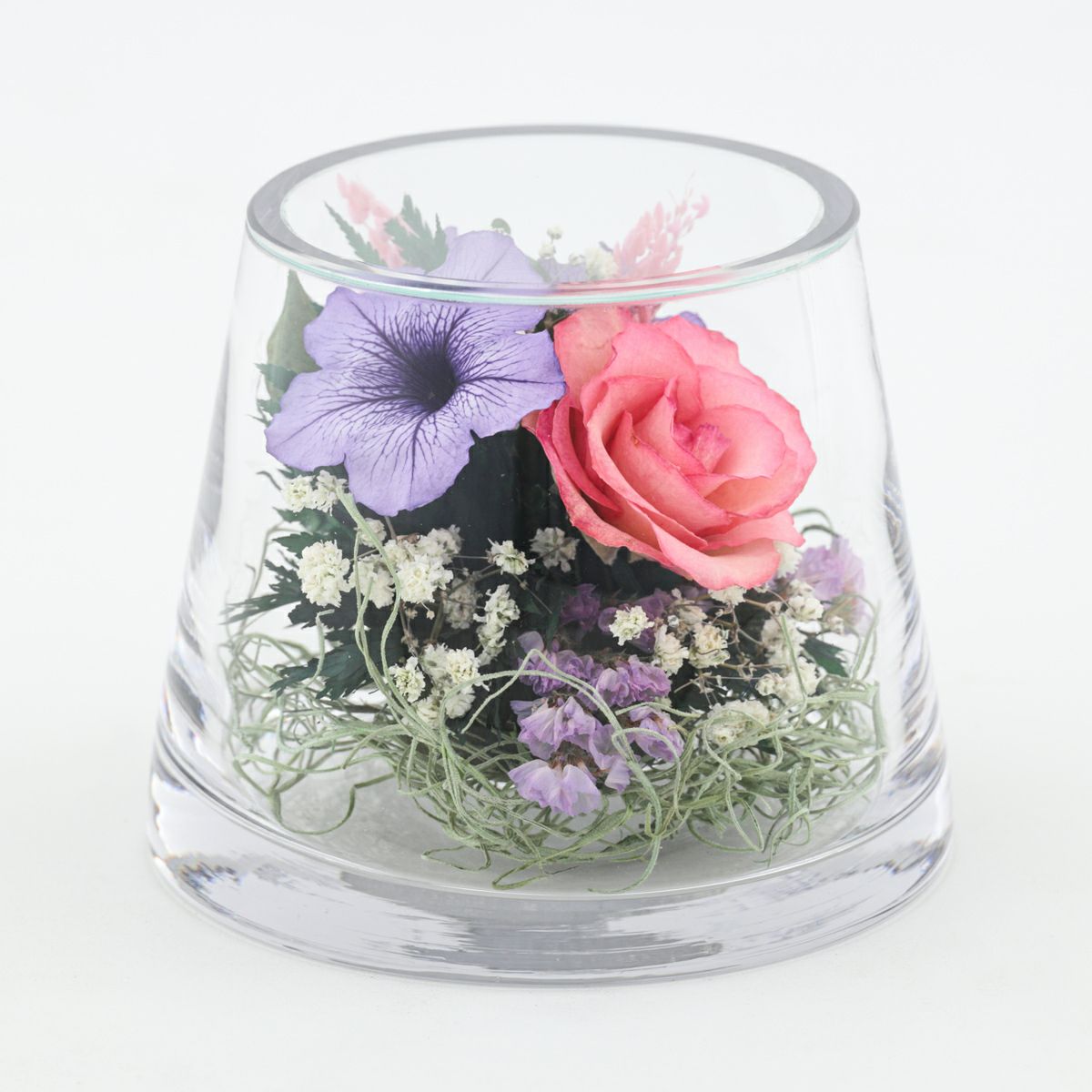 ローズ ミエル[148]