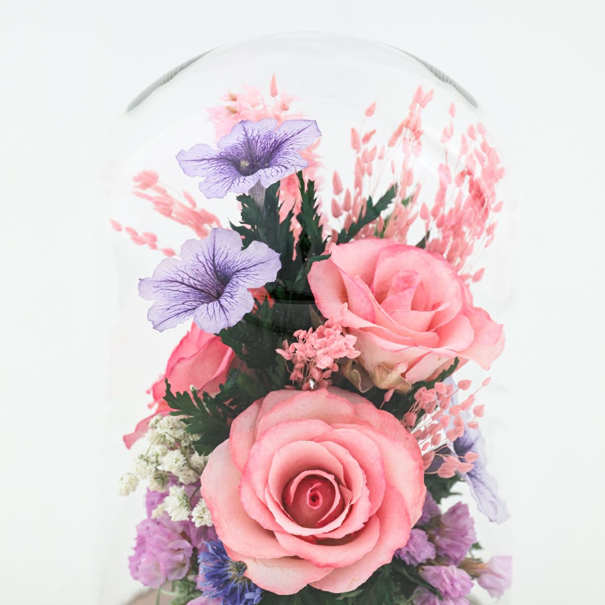 ローズ ミエル[149]