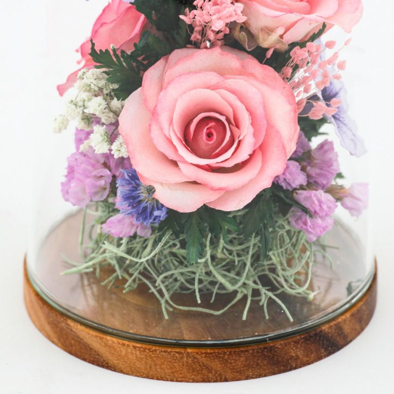 ローズ ミエル[149]