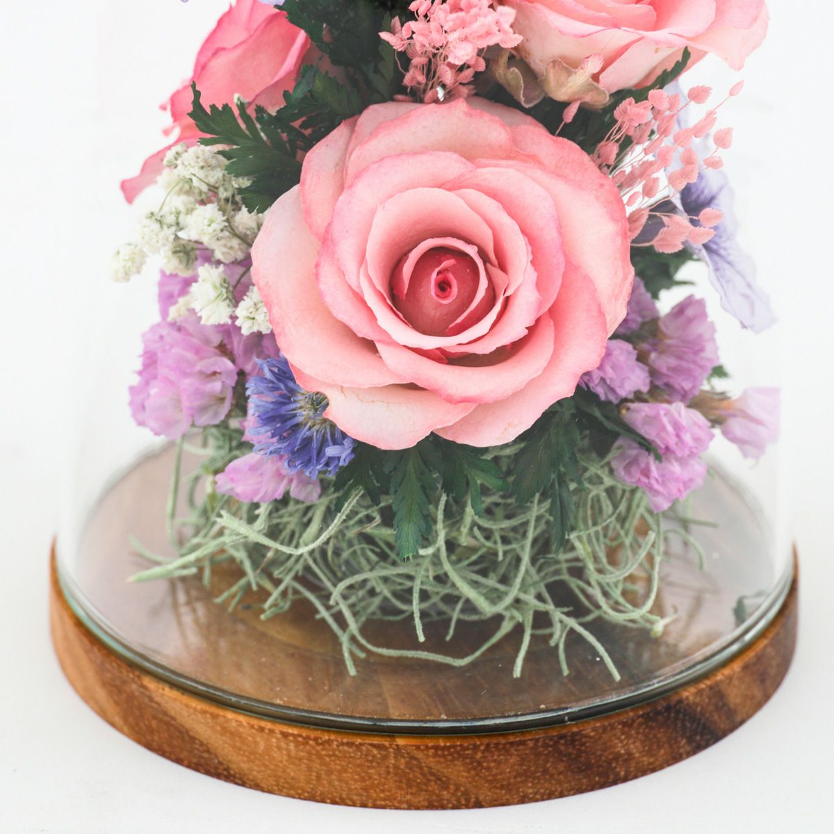 ローズ ミエル[149]