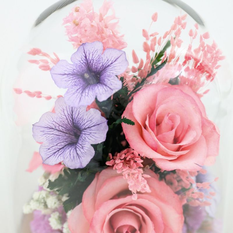 ローズ ミエル[149]