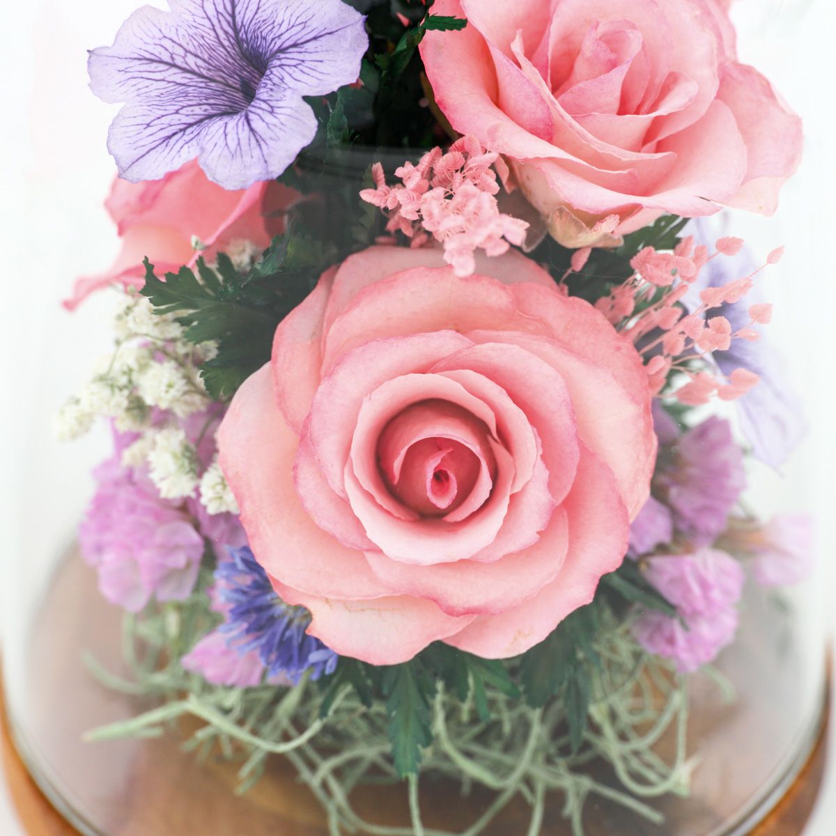 ローズ ミエル[149]