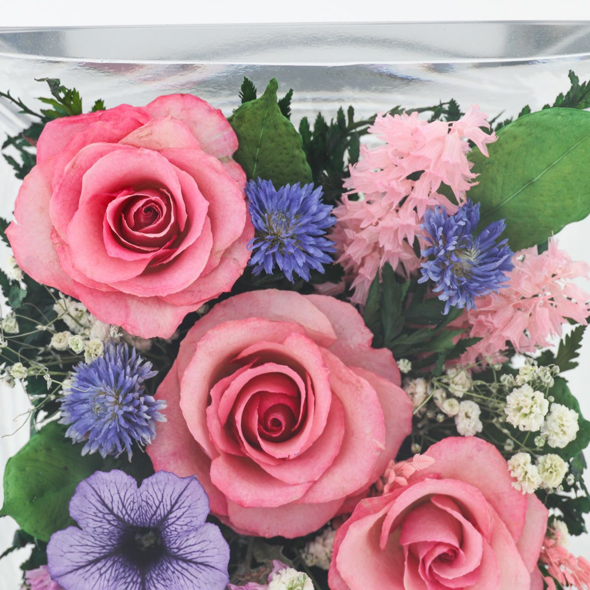 ローズ ミエル[150] ボトルフラワー